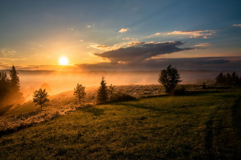 Sunrise over an open field with a lone tree